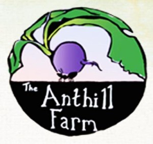 anthill farm logo