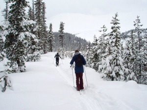 snowshoe2