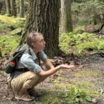Lacawac Sanctuary – Edible & Medicinal Plant Walk with Heather Housekeeper
