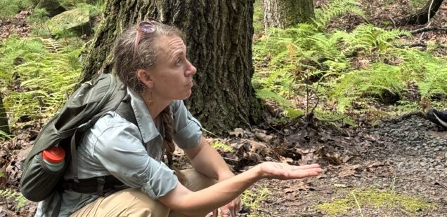 Lacawac Sanctuary – Edible & Medicinal Plant Walk with Heather Housekeeper