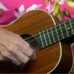 UN-PLUCK-GETTABLE -- UKULELE at the Senior Center