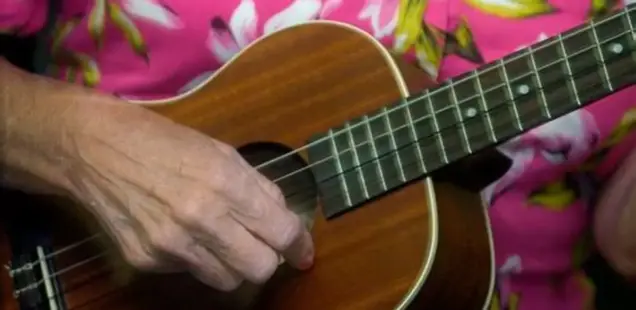 UN-PLUCK-GETTABLE -- UKULELE at the Senior Center
